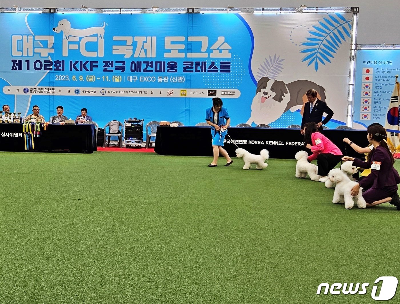 본문 이미지 - 반려동물 산업 전시회 '제20회 대구펫쇼'가 11일 대구 엑스포에서 진행됐다. ⓒ 뉴스1 최서윤 기자