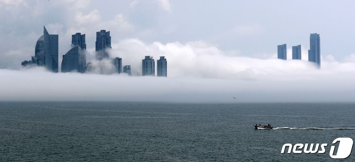 (부산=뉴스1) 윤일지 기자 = 12일 오전 부산 해운대구 마린시티 일대에 해무가 짙게 껴 장관을 연출하고 있다. 2023.6.12/뉴스1