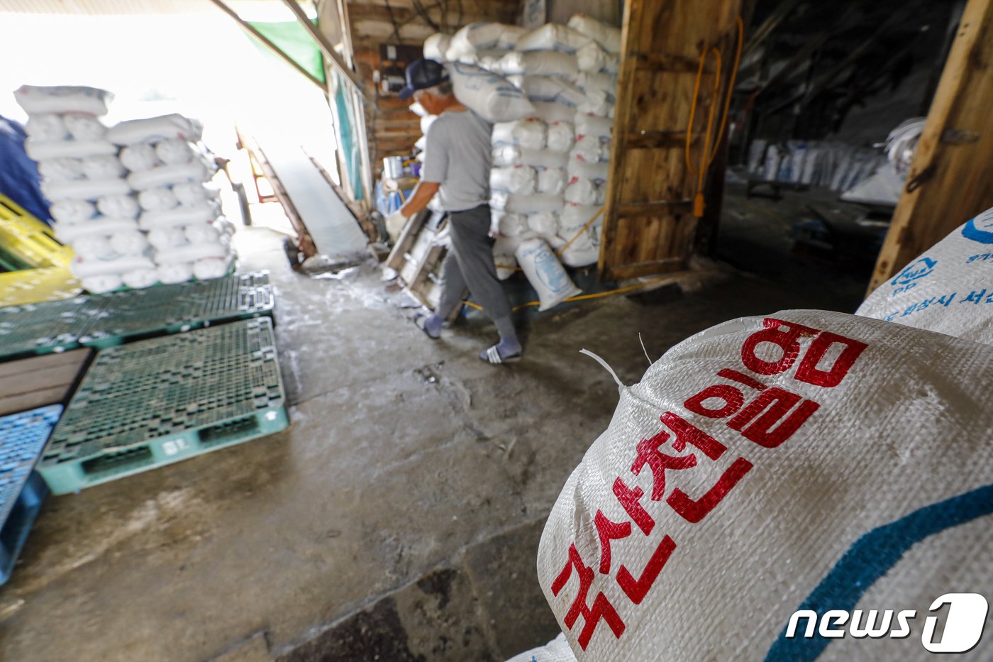 본문 이미지 - 사진은 12일 경기 화성시 공생염전 소금창고의 모습. 2023.6.12/뉴스1 ⓒ News1 김도우 기자