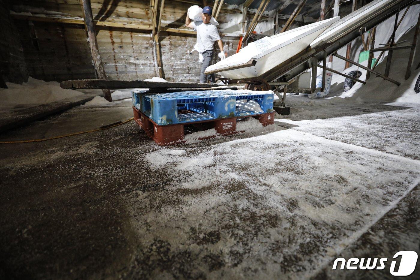 본문 이미지 -  사진은 12일 경기 화성시 공생염전 소금창고의 모습. 2023.6.12/뉴스1 ⓒ News1 김도우 기자