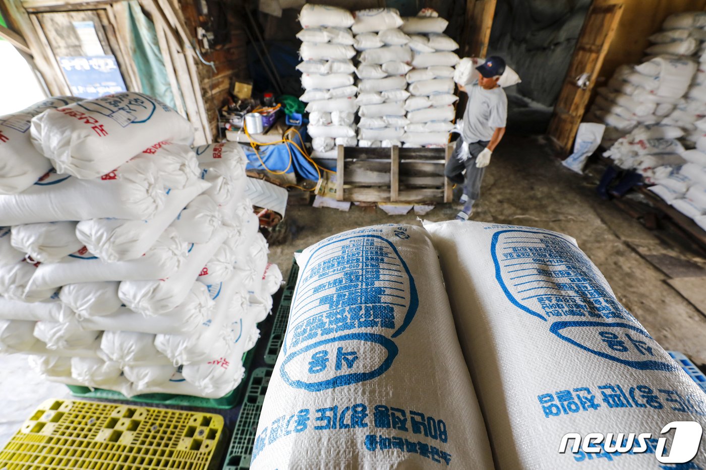본문 이미지 - 사진은 12일 경기 화성시 공생염전 소금창고의 모습. 2023.6.12/뉴스1 ⓒ News1 김도우 기자