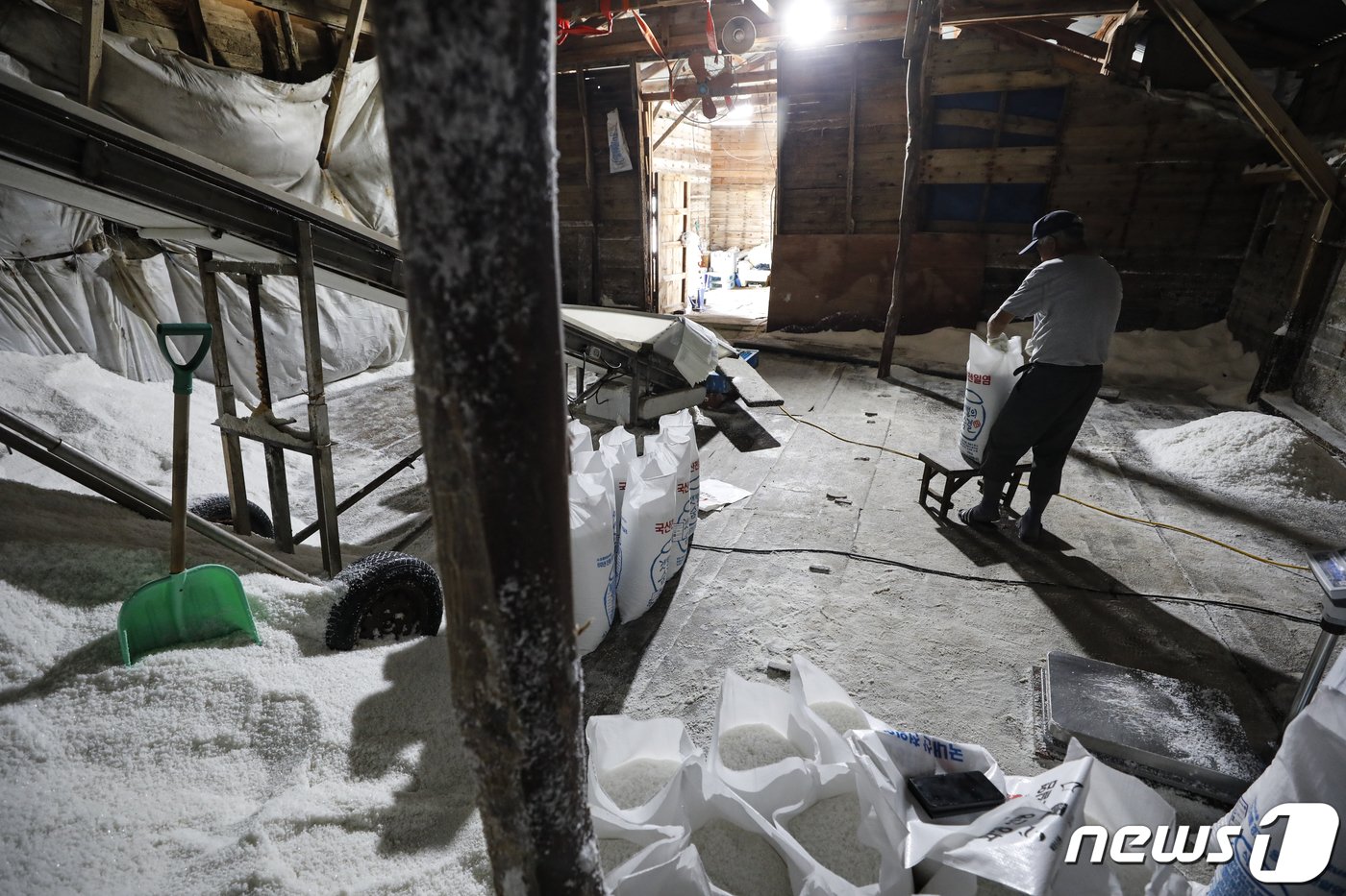 본문 이미지 - 사진은 12일 경기 화성시 공생염전 소금창고의 모습. 2023.6.12/뉴스1 ⓒ News1 김도우 기자