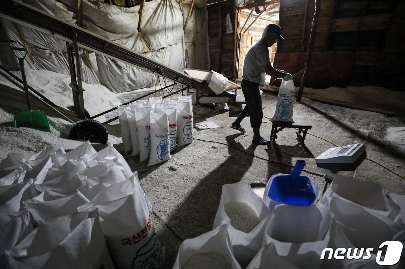 본문 이미지 -  사진은 12일 경기 화성시 공생염전 소금창고의 모습. 2023.6.12/뉴스1 ⓒ News1 김도우 기자