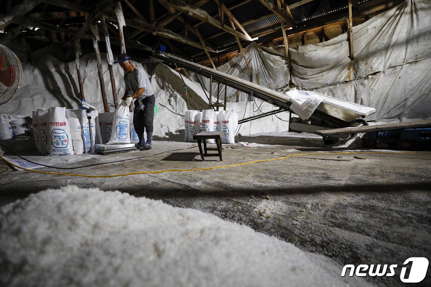 본문 이미지 - 사진은 12일 경기 화성시 공생염전 소금창고의 모습. 2023.6.12/뉴스1 ⓒ News1 김도우 기자