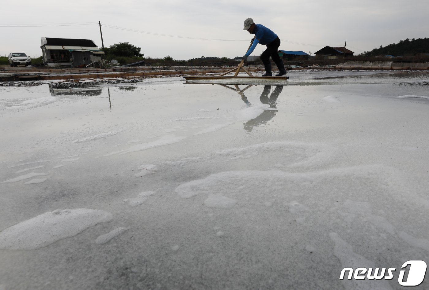 본문 이미지 - 사진은 12일 경기 안산시 동주염전에서 염부들이 천일염을 수확하는 모습. 2023.6.12/뉴스1 ⓒ News1 김도우 기자