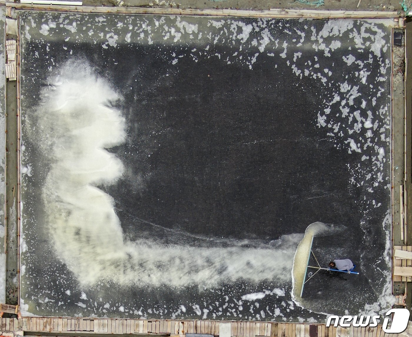 본문 이미지 - 사진은 12일 경기 안산시 동주염전에서 염부들이 천일염을 수확하는 모습. 2023.6.12/뉴스1 ⓒ News1 김도우 기자