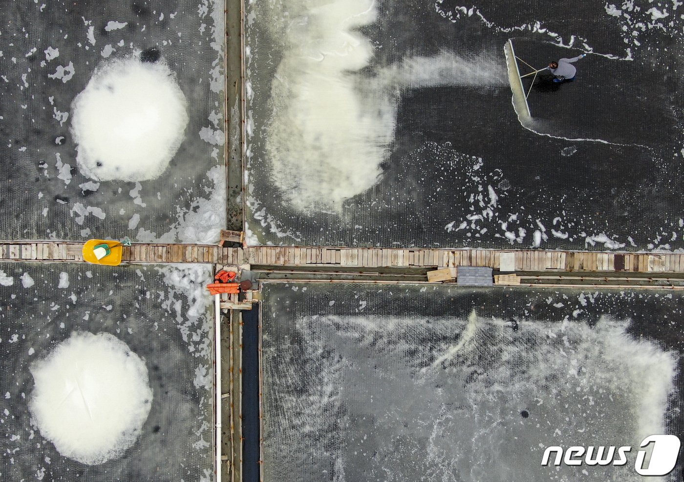 본문 이미지 - 사진은 12일 경기 안산시 동주염전에서 염부들이 천일염을 수확하는 모습. 2023.6.12/뉴스1 ⓒ News1 김도우 기자