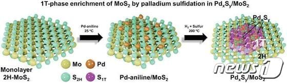 팔라듐 금속 삽입을 통한 단일 원자층 이황화몰리브덴의 구조적 변환 도식도.(인하대 제공)/뉴스1