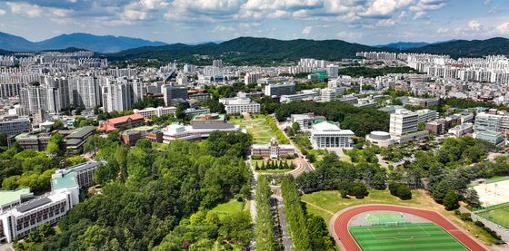 도서관에 근무한 것처럼 전산 입력…전남대 교직원 41명 송치