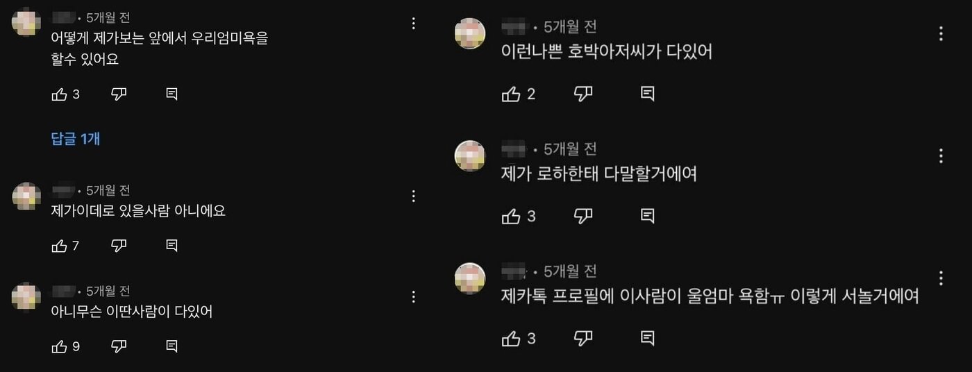 본문 이미지 - BJ 임블리. (유튜브 갈무리)