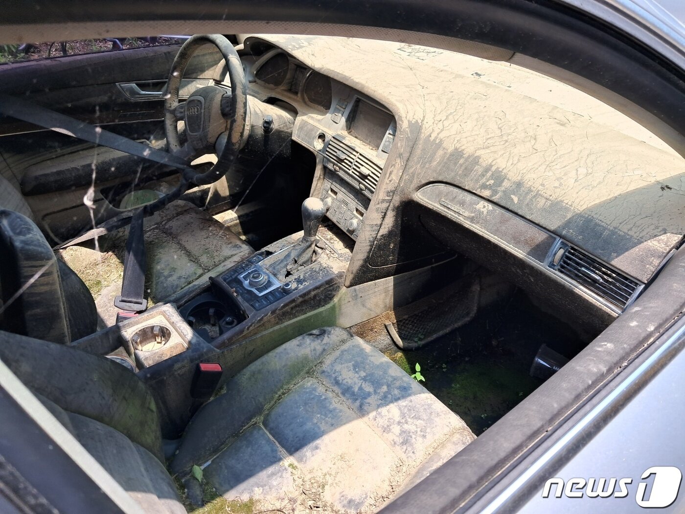 본문 이미지 - 2020년 7월30일 새벽 쏟아진 폭우로 침수된 차량이 3년이 지난 현재까지 대전 서구 정림동 코스모스아파트 주차장에 세워져 있다. /뉴스1 ⓒNews1 최일 기자