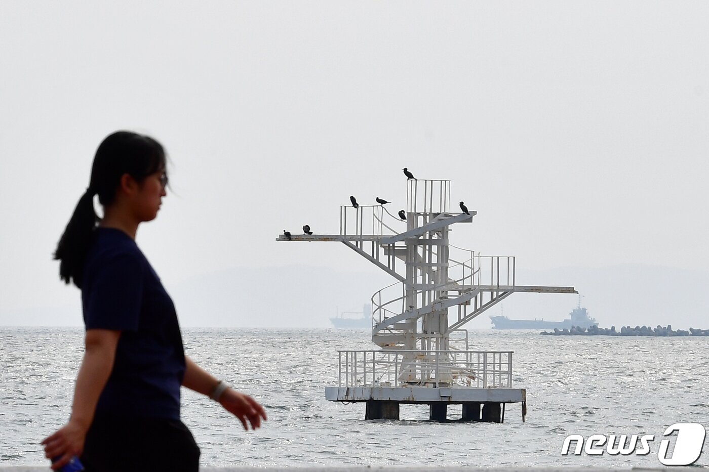 본문 이미지 - 경북 포항시 송도해수욕장 다이빙대 위에 새들이 앉아쉬고 있다. (뉴스1 자료, 제판매 및 DB 금지) ⓒ News1 최창호 기자