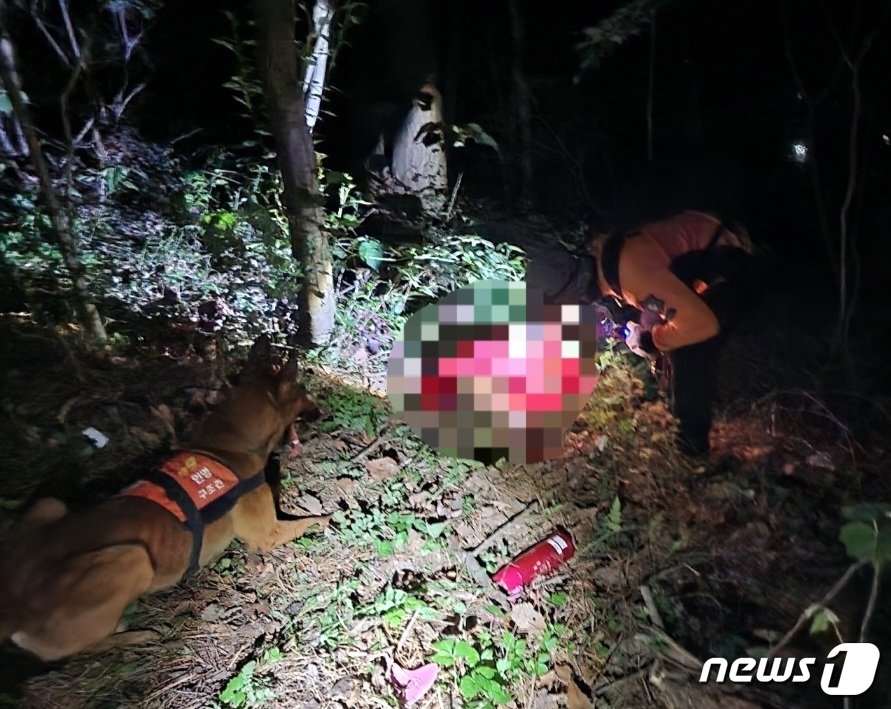 본문 이미지 - 부산소방 119구조견 충성이가 지난 9일 부산 서구 아미산에 쓰러진 70대 치매 노인을 구조하고 있다.(부산소방재난본부 제공) 