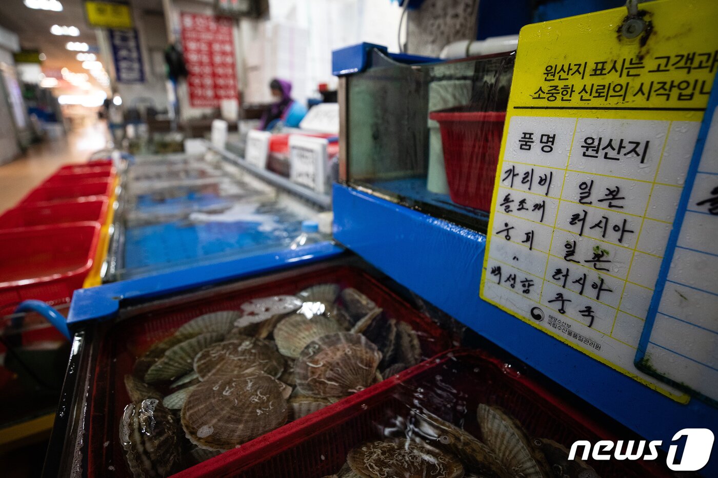 본문 이미지 - 일본의 후쿠시마 원전 오염수 방류를 앞두고 19일 서울 동작구 노량진수산시장에 일본산 어패류 원산지 표시가 붙어 있다. . 2023.6.19/뉴스1 ⓒ News1 유승관 기자