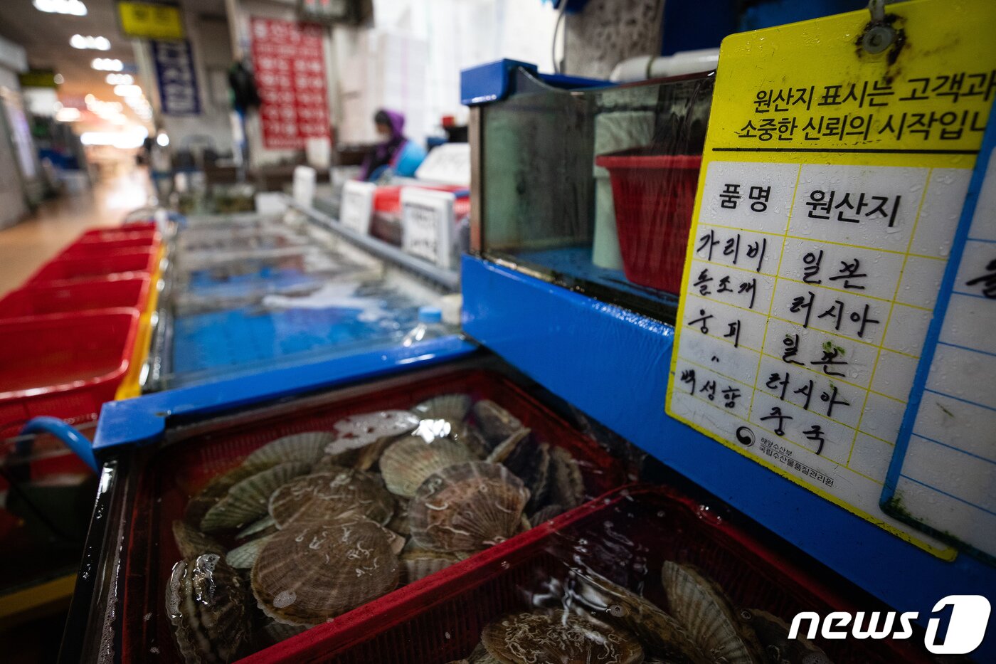 일본의 후쿠시마 원전 오염수 방류를 앞두고 19일 서울 동작구 노량진수산시장에 일본산 어패류 원산지 표시가 붙어 있다. . 2023.6.19/뉴스1 ⓒ News1 유승관 기자