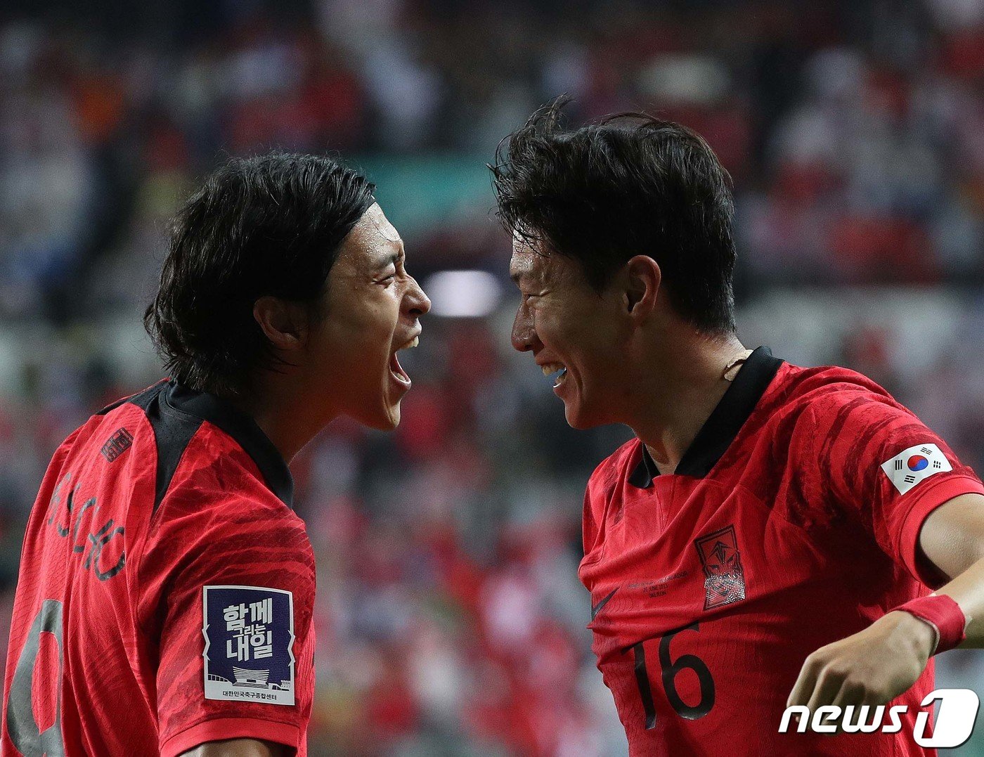 본문 이미지 - 황의조가 20일 대전 유성구 대전월드컵경기장에서 열린 하나은행 초청 대한민국과 엘살바도르의 축구 국가대표 평가전에서 첫 골을 성공시킨 후 조규성과 기쁨을 나누고 있다. 2023.6.20/뉴스1 ⓒ News1 신웅수 기자
