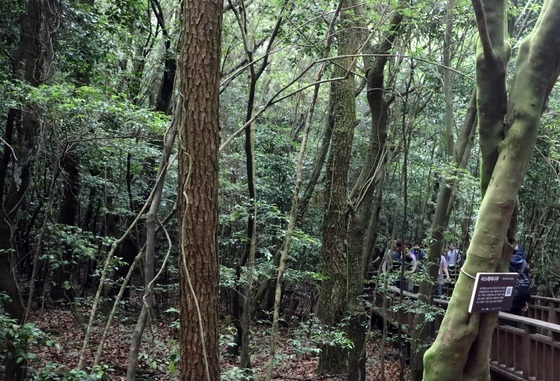 제주도, 곶자왈 보호 모금 10억 달성
