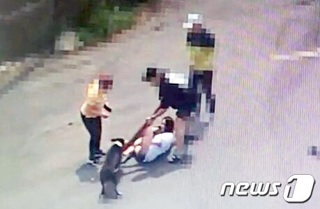 본문 이미지 - 한 반려견이 주민과 반려견을 공격하고 있다. (독자제공) / 뉴스1