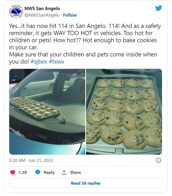 미국의 기록적인 폭염이 수일째 이어지면서, 시민들이 '차에서 쿠키를 구울 수 있을 정도의 더위'라고 SNS에 인증사진을 올리는 등 고통을 호소하고 있다. 트위터 캡처