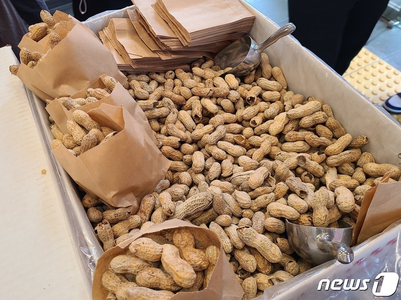 본문 이미지 - 매장 입구에 비치된 무료 땅콩 ⓒ News1