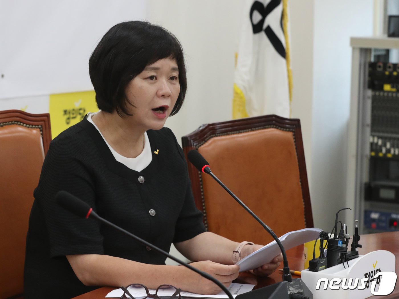 본문 이미지 - 이정미 정의당 대표가 25일 서울 여의도 국회에서 현안 관련 기자간담회를 하고 있다. 2023.6.25/뉴스1 ⓒ News1 송원영 기자