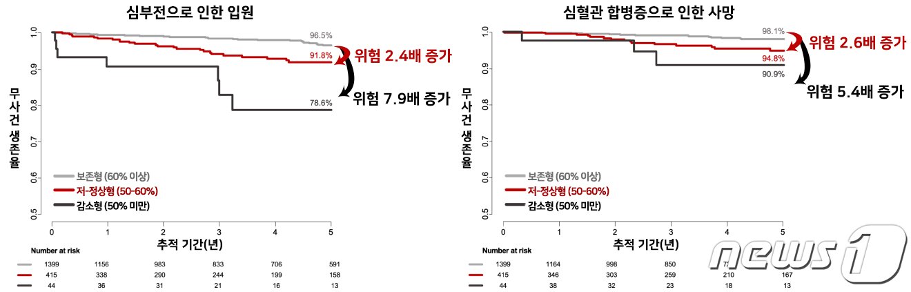 본문 이미지 - 비후성 심근증 환자의 심장 수축력에 따른 예후 비교(서울대병원 제공)