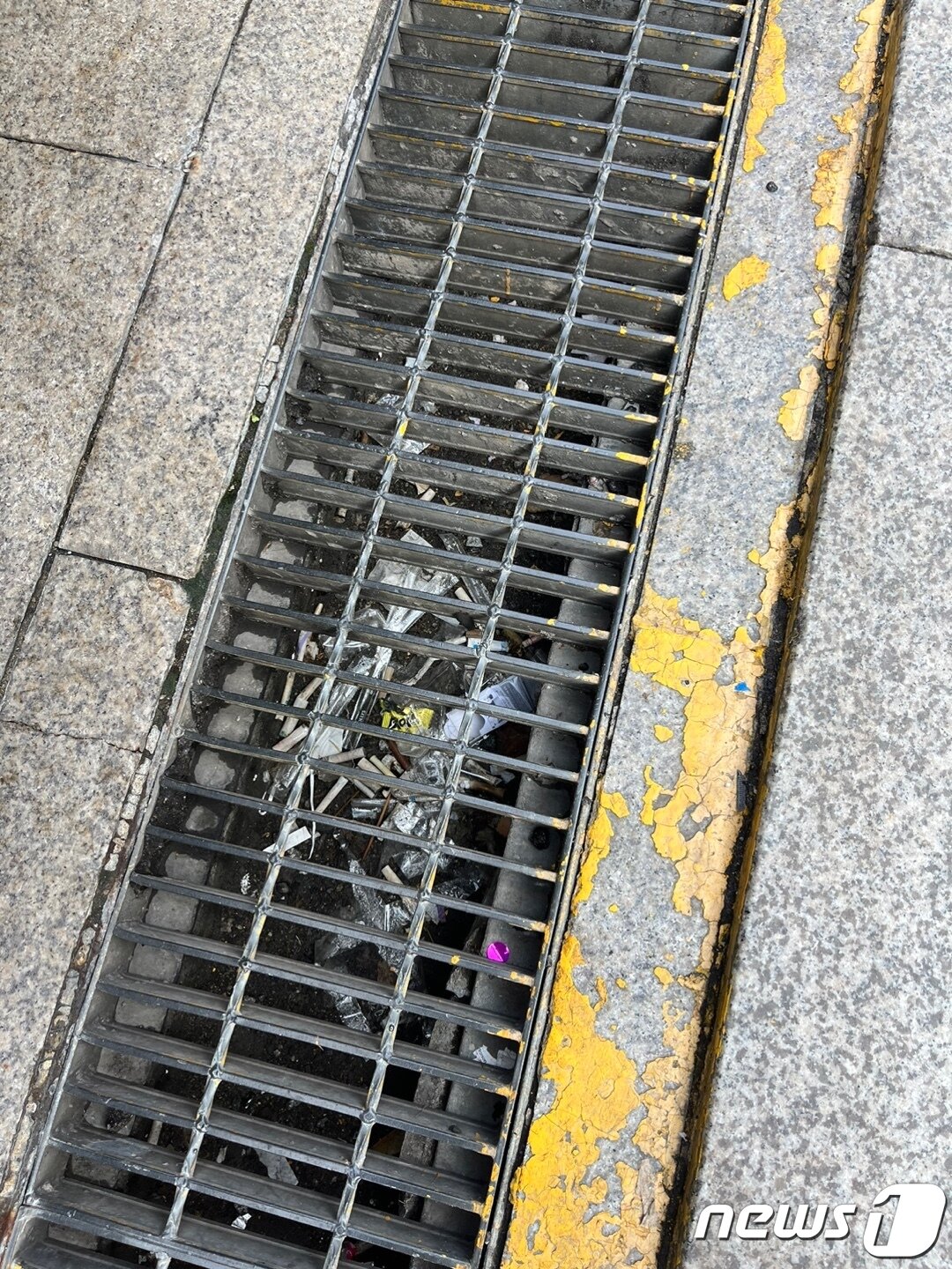 본문 이미지 - 강남역 11번 출구 인근에 설치된 빗물받이. 담배꽁초와 쓰레기로 채워져 있다./ⓒ News1 원태성 기자