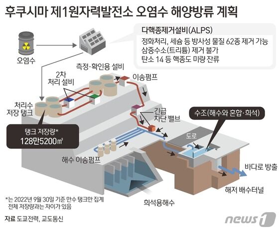 © News1 김초희 디자이너