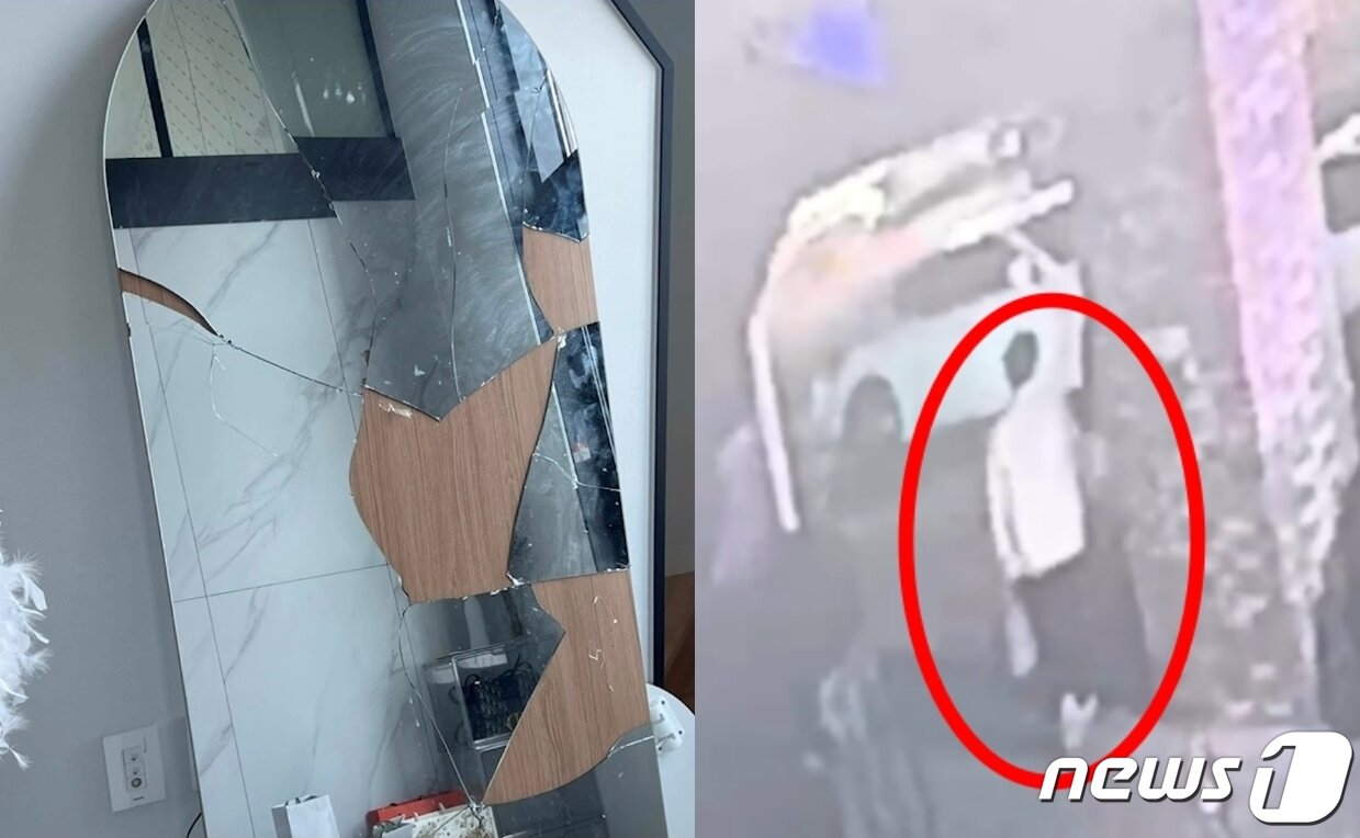 본문 이미지 - (동물권단체 '케어' 인스타그램 갈무리)