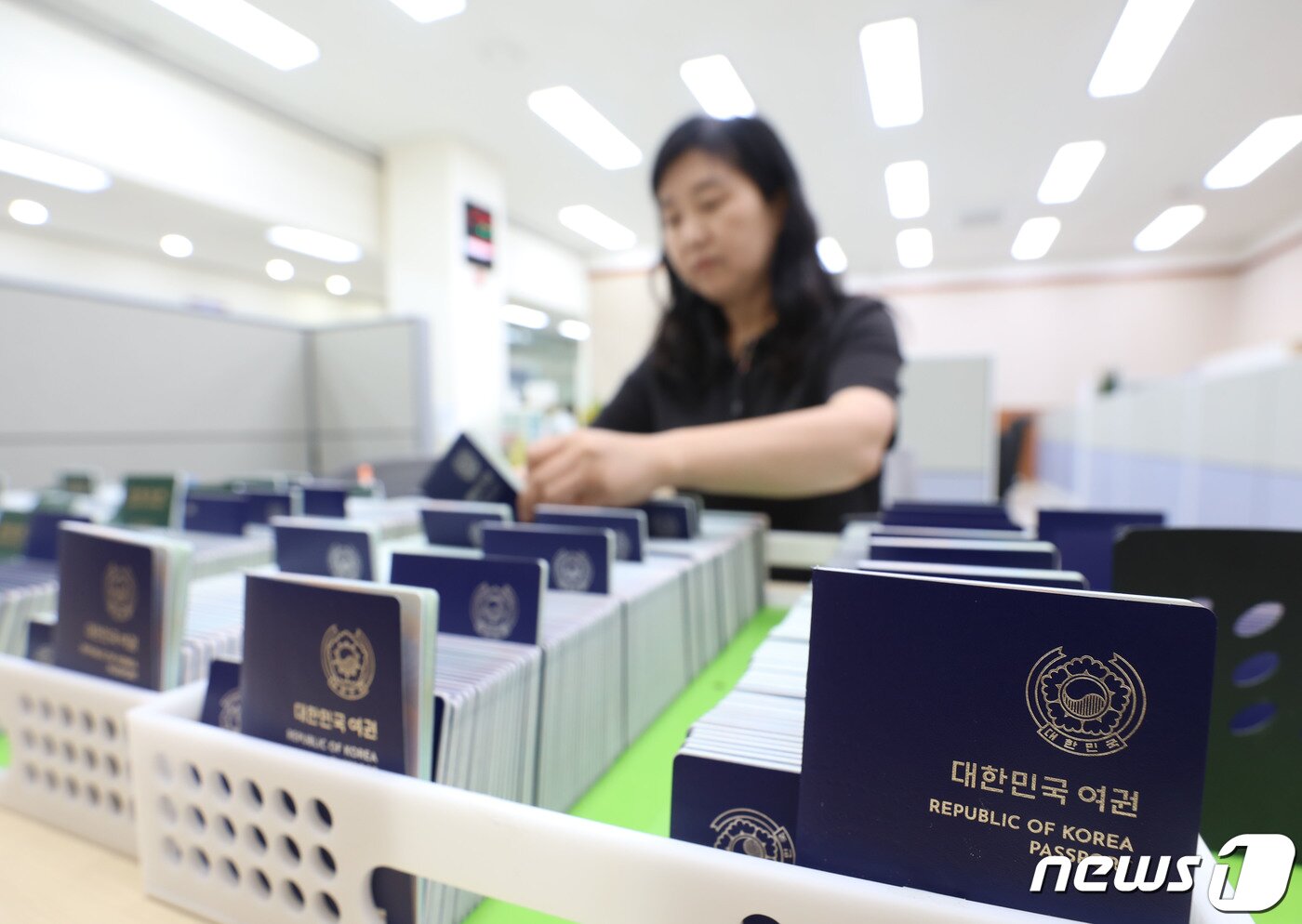 본문 이미지 - 본격적인 여름 휴가철을 앞두고 해외여행 수요가 급증하면서 여권발급 신청이 늘어나고 있는 28일 경기 수원시 팔달구 수원시여권민원실에서 직원이 발급된 여권을 정리하고 있다. 2923.6.28/뉴스1 ⓒ News1 김영운 기자