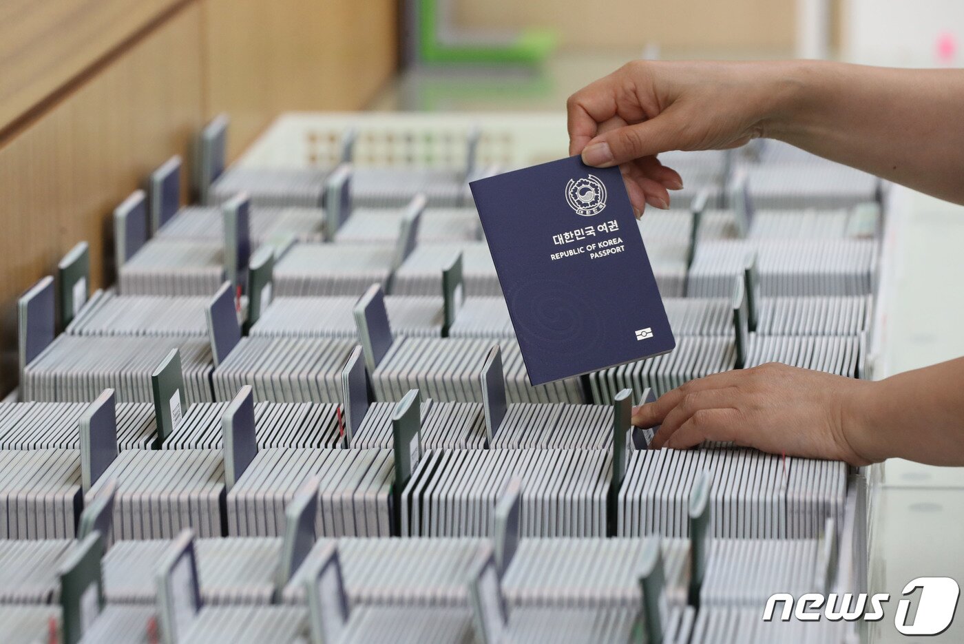 본문 이미지 - 본격적인 여름 휴가철을 앞두고 해외여행 수요가 급증하면서 여권발급 신청이 늘어나고 있는 28일 경기 수원시 팔달구 수원시여권민원실에서 직원이 발급된 여권을 정리하고 있다. 2923.6.28/뉴스1 ⓒ News1 김영운 기자