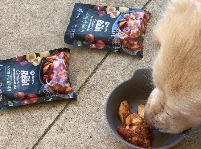 본문 이미지 - 반려견 공주(인스타그램 갈무리) ⓒ 뉴스1