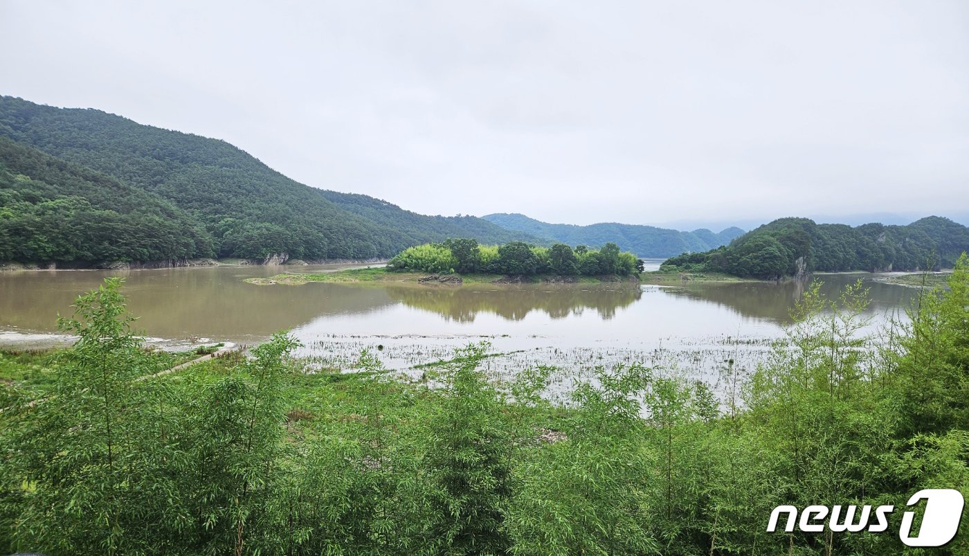 지난해 6월 집중호우로 물이 가득 찬 동복댐 상류 모습. 2023.6.29/뉴스1 ⓒ News1