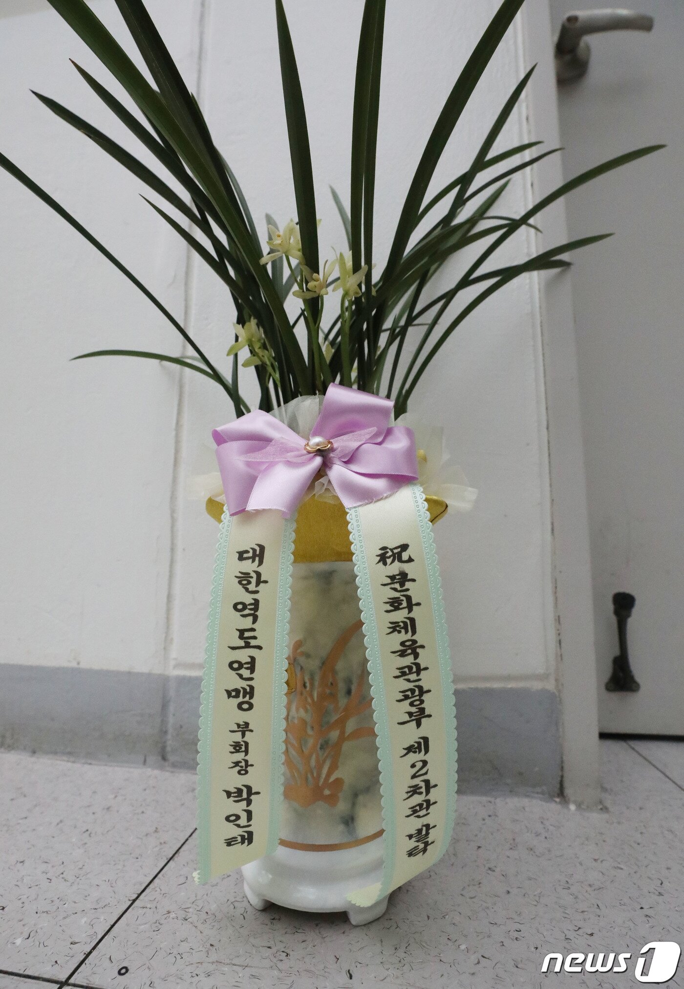 본문 이미지 - 장미란 용인대학교 체육학과 교수가 정책홍보 및 체육·관광 등을 담당하는 문화체육관광부 2차관에 내정된 것으로 전해진 29일 오후 경기 용인시 처인구 용인대학교 체육과학대학에 위치한 장 교수 연구실에 축하난이 놓여져 있다. 2023.6.29/뉴스1 ⓒ News1 김영운 기자