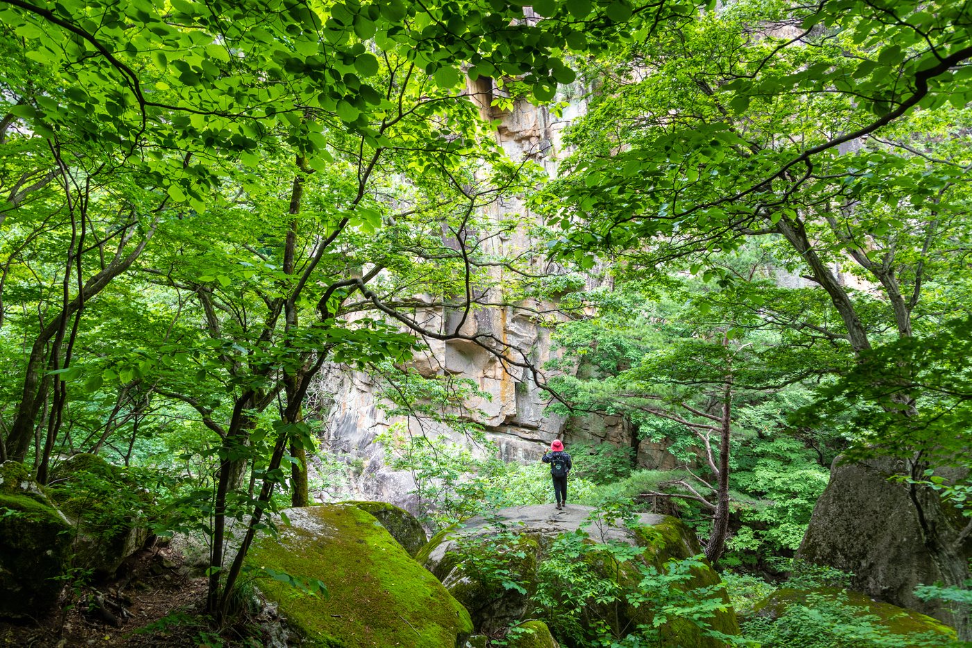 본문 이미지 - 초록이 우거진 숲은 햇빛을 가려주고, 살랑 불어오는 바람은 땀을 식혀준다(한국관광공사 제공)