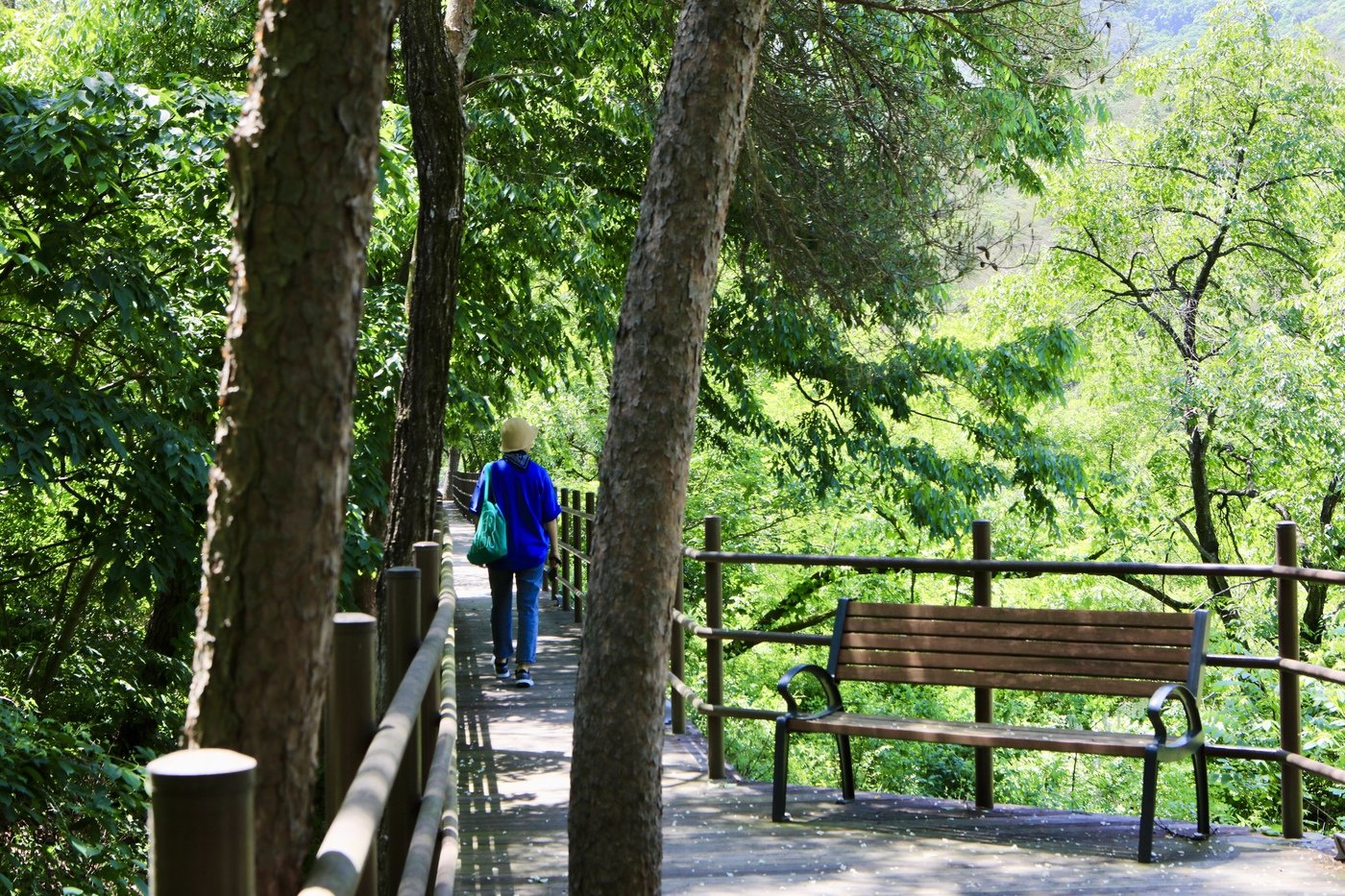 본문 이미지 - 괴산 화양구곡 산책길(한국관광공사 제공)