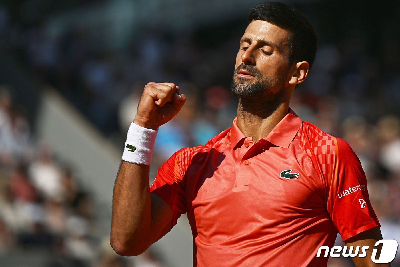 본문 이미지 - 노박 조코비치.ⓒ AFP=뉴스1