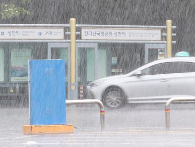 한라산 삼각봉 110.5㎜…제주도 산지·동부에 '호우경보'