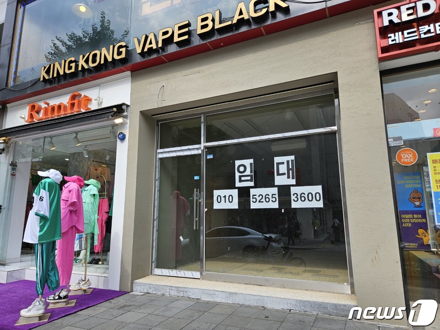 본문 이미지 - 서울 강남구 신사동 소재 가로수길 모습.ⓒ 뉴스1/김진희 기자.