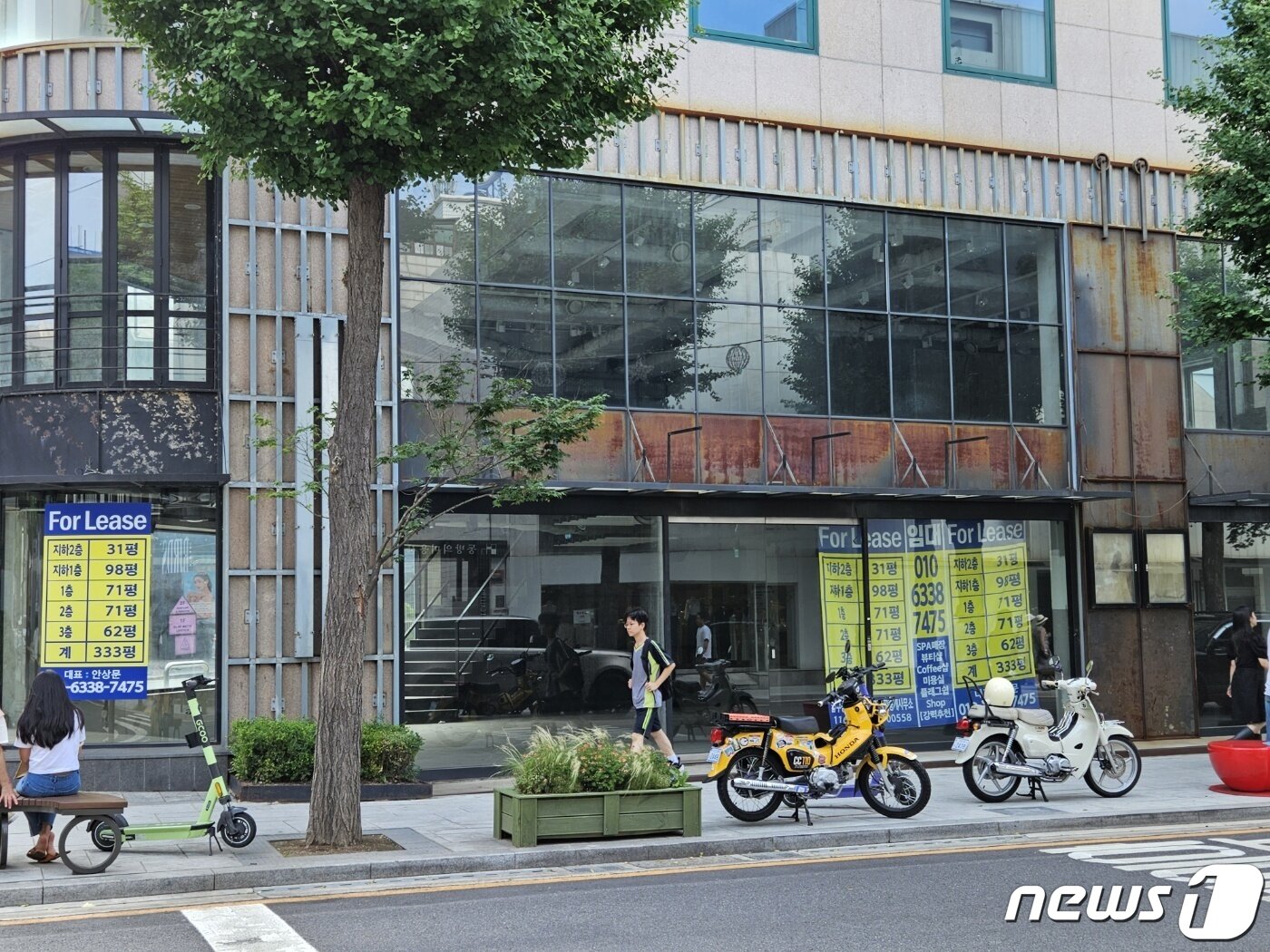 본문 이미지 - 서울 강남구 신사동 소재 가로수길 모습.ⓒ 뉴스1/김진희 기자.