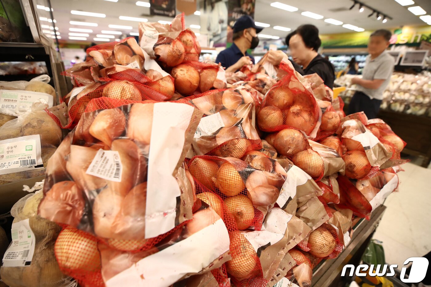 본문 이미지 - 서울 시내 대형마트에 진열된 양파 모습./뉴스1 ⓒ News1 김민지 기자