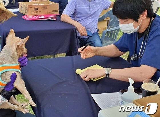 경기도와 경기문화재단은 4일 옛 경기도청 팔달청사에서 '또 하나의 가족, 2023 경기도 펫스타(PETSTA)'를 개최했다. 박성범 수의사가 반려동물 건강상담을 하고 있다. © 뉴스1 최서윤 기자