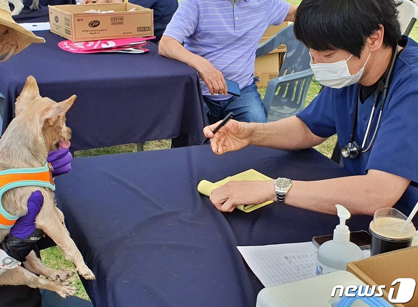 경기도와 경기문화재단은 4일 옛 경기도청 팔달청사에서 &#39;또 하나의 가족, 2023 경기도 펫스타&#40;PETSTA&#41;&#39;를 개최했다. 박성범 수의사가 반려동물 건강상담을 하고 있다. ⓒ 뉴스1 최서윤 기자