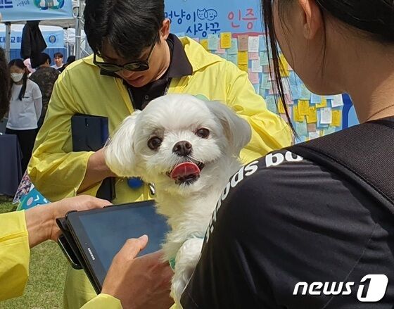경기도와 경기문화재단은 4일 옛 경기도청 팔달청사에서 '또 하나의 가족, 2023 경기도 펫스타(PETSTA)'를 개최했다.© 뉴스1 최서윤 기자