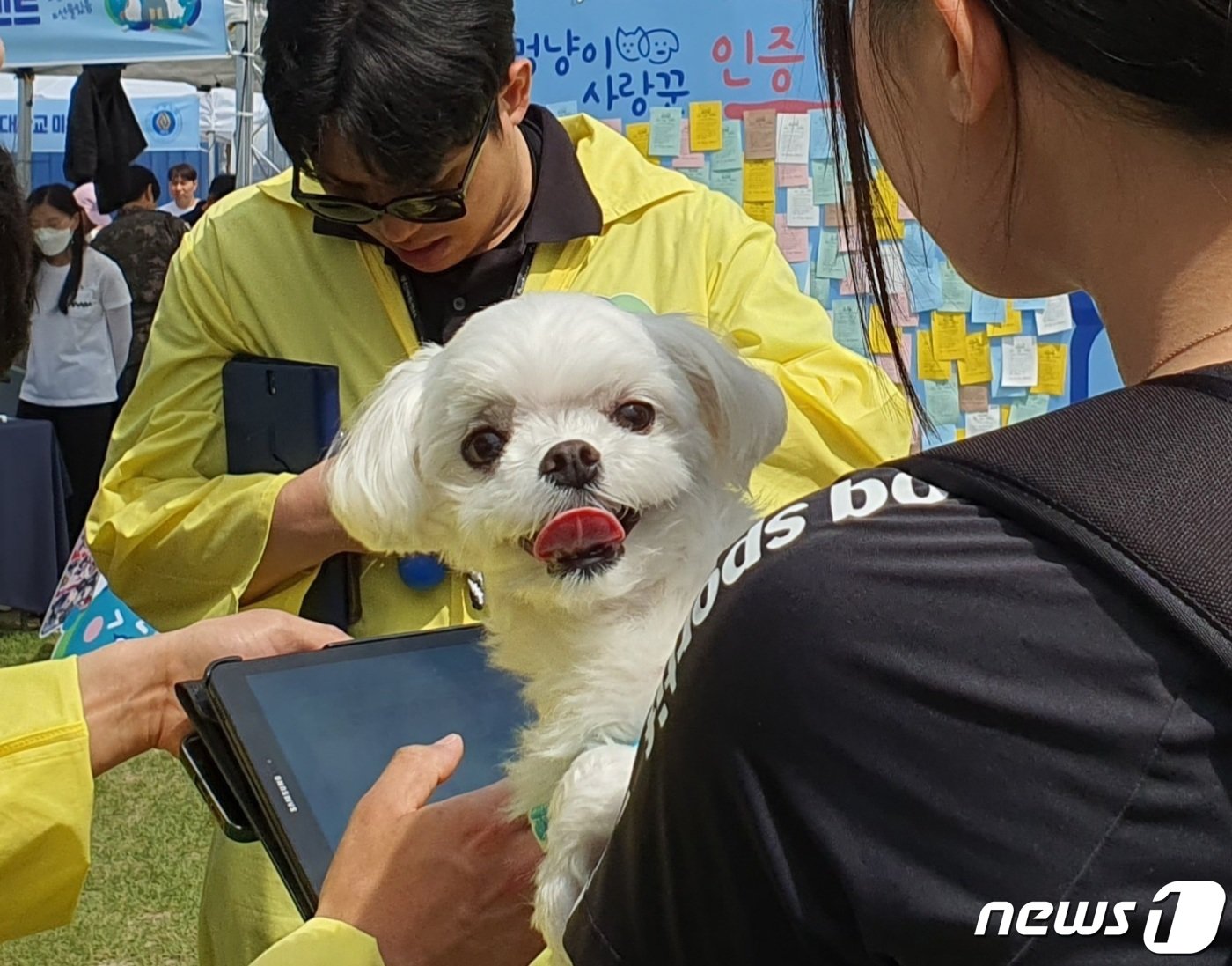 경기도와 경기문화재단은 4일 옛 경기도청 팔달청사에서 &#39;또 하나의 가족, 2023 경기도 펫스타&#40;PETSTA&#41;&#39;를 개최했다.ⓒ 뉴스1 최서윤 기자