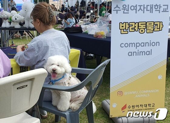 경기도와 경기문화재단은 4일 옛 경기도청 팔달청사에서 '또 하나의 가족, 2023 경기도 펫스타(PETSTA)'를 개최했다.© 뉴스1 최서윤 기자