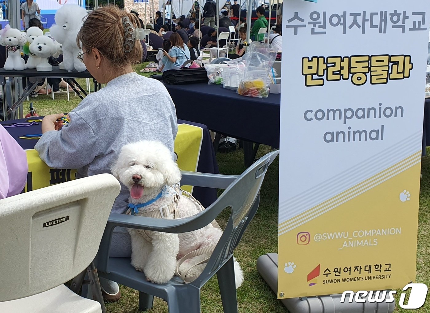 본문 이미지 - 경기도와 경기문화재단은 4일 옛 경기도청 팔달청사에서 &#39;또 하나의 가족, 2023 경기도 펫스타&#40;PETSTA&#41;&#39;를 개최했다.ⓒ 뉴스1 최서윤 기자