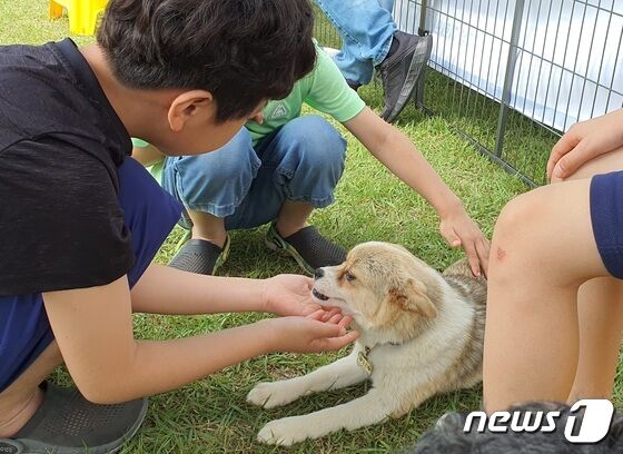 경기도와 경기문화재단은 4일 옛 경기도청 팔달청사에서 '또 하나의 가족, 2023 경기도 펫스타(PETSTA)'를 개최했다.© 뉴스1 최서윤 기자