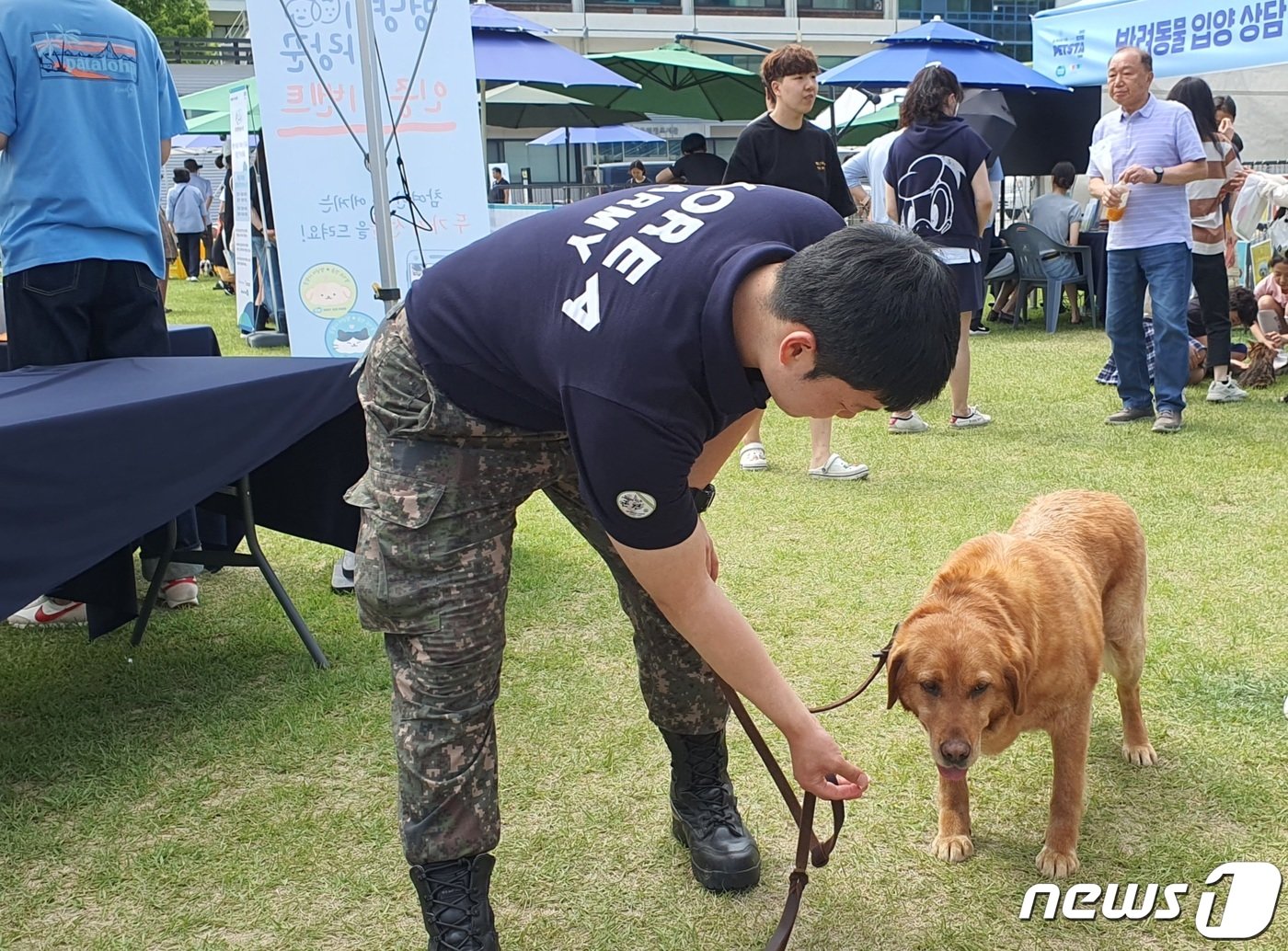 본문 이미지 - 경기도와 경기문화재단은 4일 옛 경기도청 팔달청사에서 &#39;또 하나의 가족, 2023 경기도 펫스타&#40;PETSTA&#41;&#39;를 개최했다.ⓒ 뉴스1 최서윤 기자