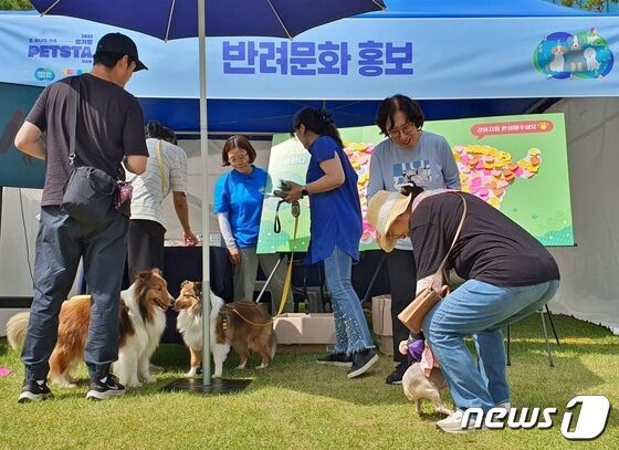 경기도와 경기문화재단은 4일 옛 경기도청 팔달청사에서 '또 하나의 가족, 2023 경기도 펫스타(PETSTA)'를 개최했다.© 뉴스1 최서윤 기자